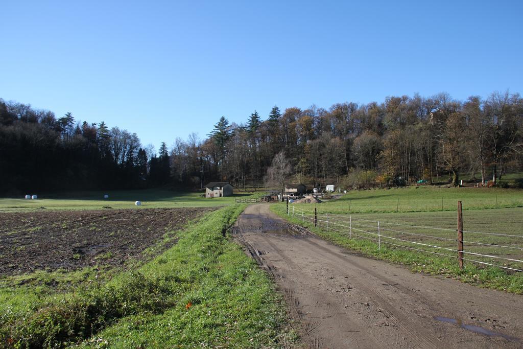 Vila Casa Al Sasso Bedigliora Exteriér fotografie